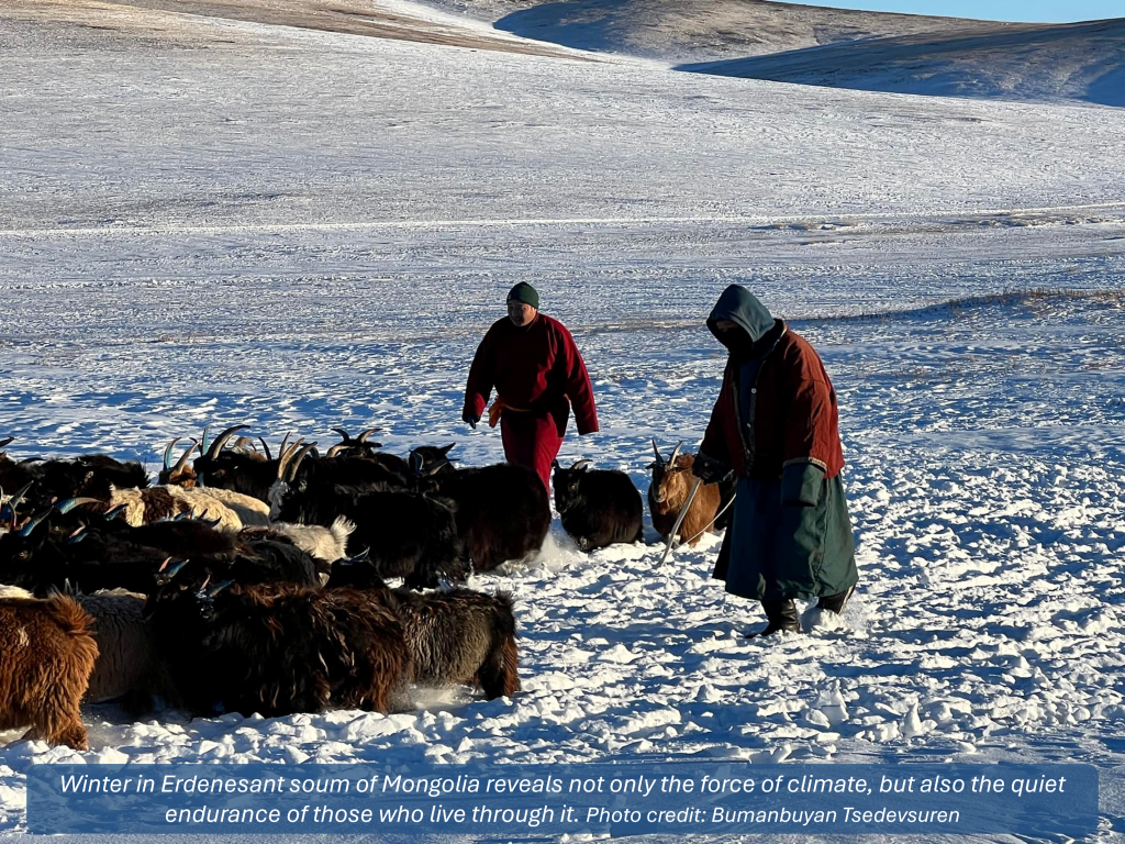 Between Sunlight and Snowstorms: Reflections on Fieldwork Across Seasons from the Mongolian Steppe