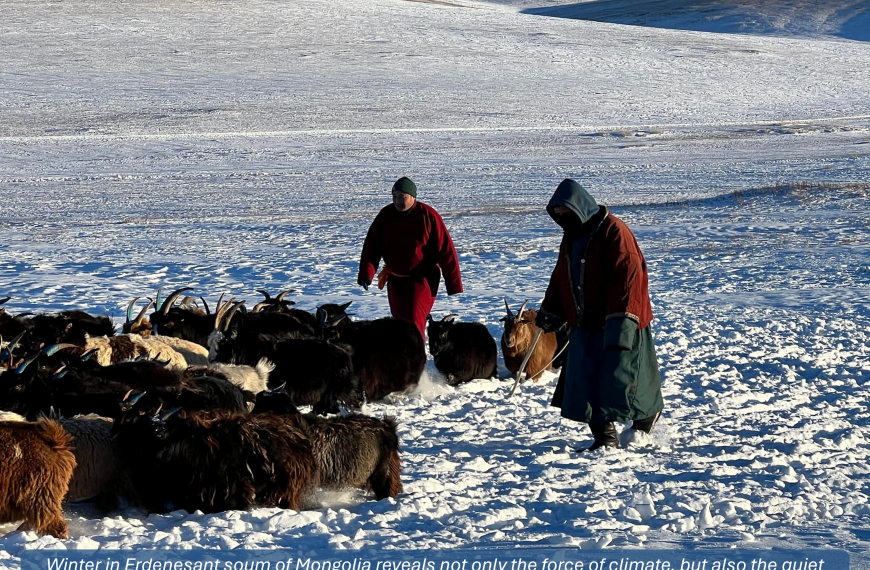 Between Sunlight and Snowstorms: Reflections on Fieldwork Across Seasons from the Mongolian Steppe