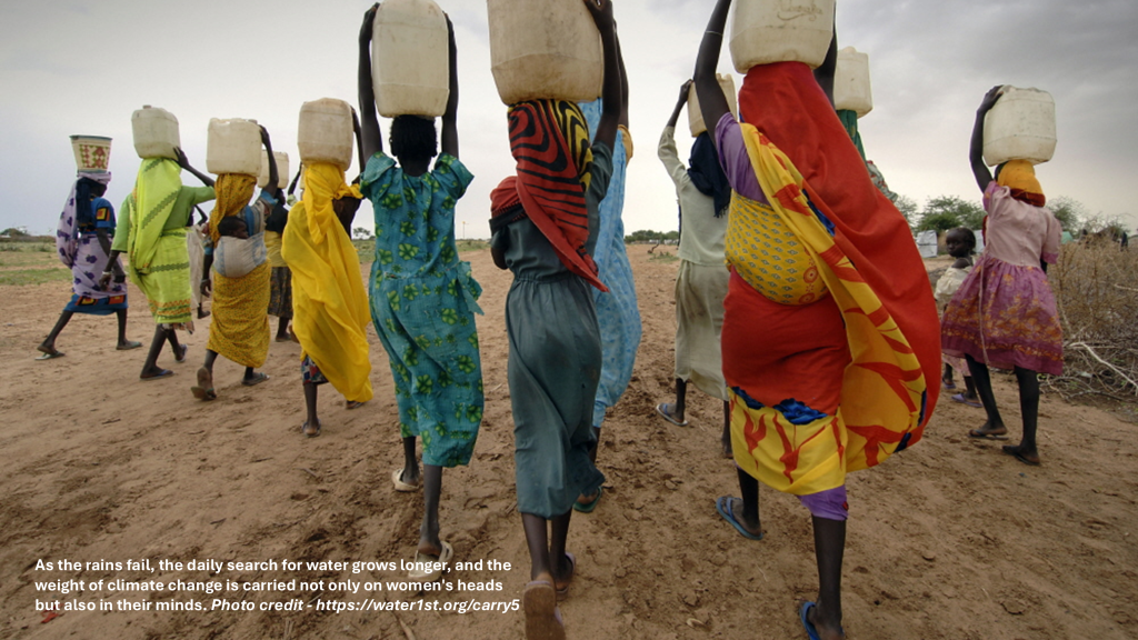 When the Rain Fails, the Mind Suffers: Field Reflections on Climate, Health, and Loss in Rural Mali