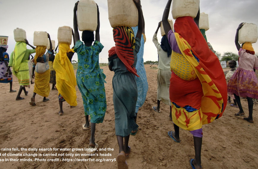 When the Rain Fails, the Mind Suffers: Field Reflections on Climate, Health, and Loss in Rural Mali
