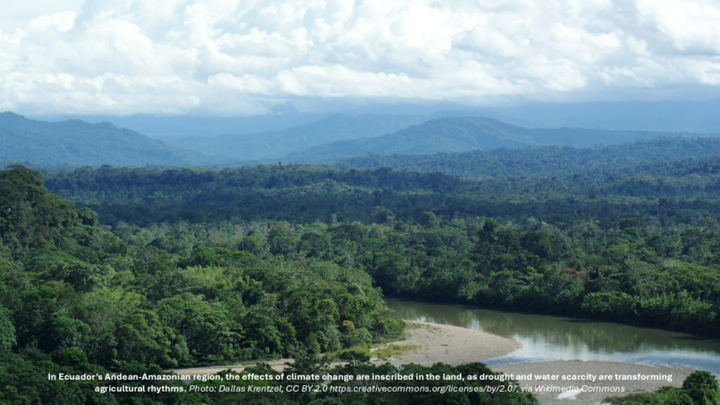 Beyond Dollars: Reflections on Researching Loss and Damage in Ecuador’s Andes and Amazon