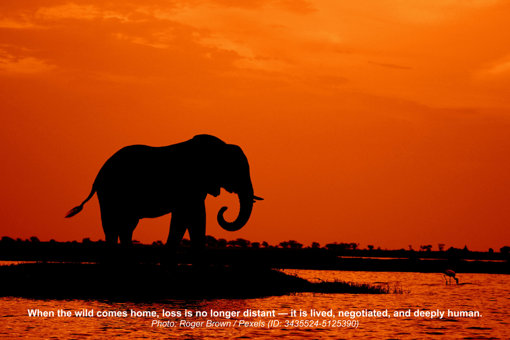 When the Wild Comes Home: The Hidden Ethics of Grassroots Loss and Damage Research