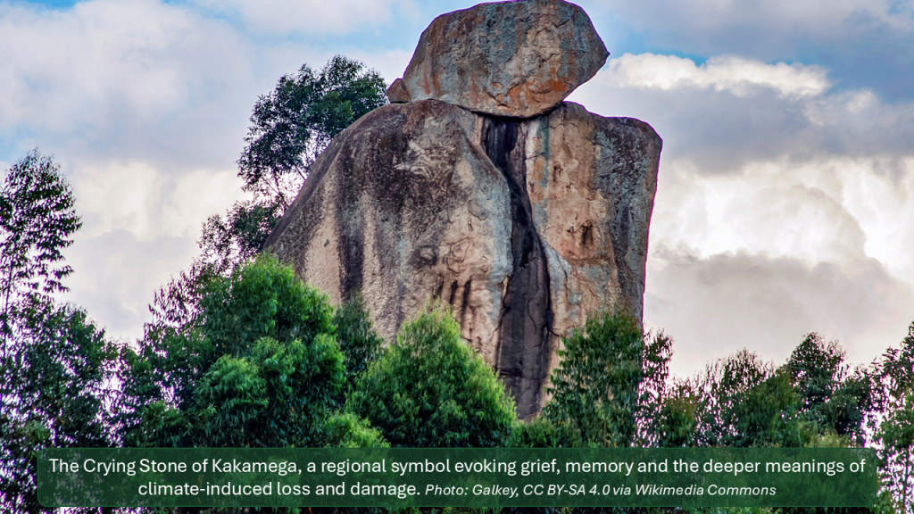 Beyond Trees and Species: How Research in Kakamega Forest Changed My Understanding of Climate-Induced Loss and Damage