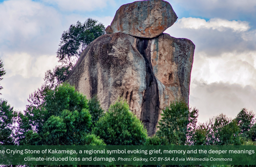 Beyond Trees and Species: How Research in Kakamega Forest Changed My Understanding of Climate-Induced Loss and Damage