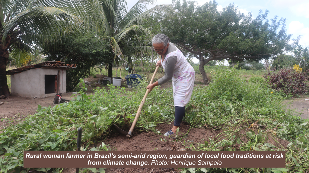 The Silent Loss of Food Traditions in Semi-Arid Bahia, Brazil: Lessons from Research on Climate and Food Culture