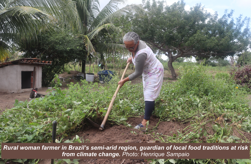 The Silent Loss of Food Traditions in Semi-Arid Bahia, Brazil: Lessons from Research on Climate and Food Culture