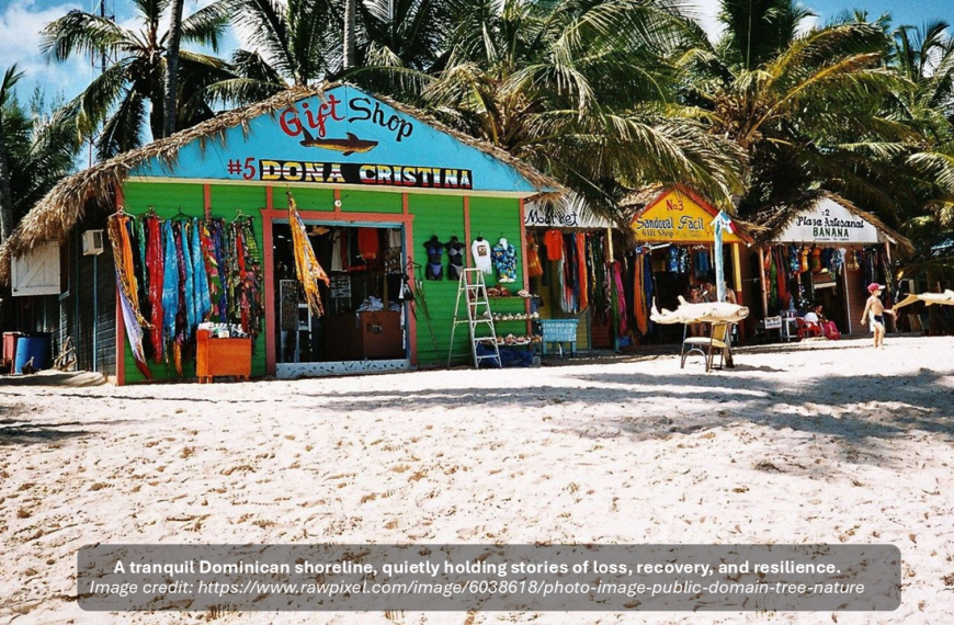 Navigating the Storm After the Storm: Reflections on Quantifying Loss and Damage in Dominica